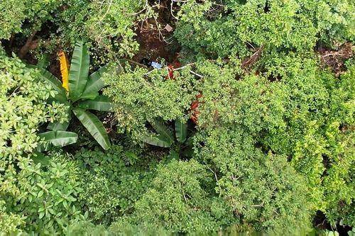 Ngang nhiên đào vàng sa khoáng trong rừng đặc dụng ở Thanh Hóa