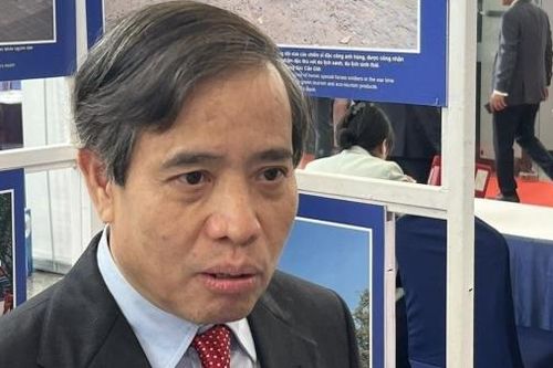 Chuyên gia hiến kế TP. Hồ Chí Minh phát triển tăng trưởng xanh: Bài học từ Singapore