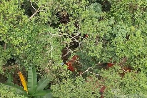 Ngang nhiên đào vàng trong rừng đặc dụng ở Thanh Hóa