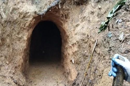 Vào rừng đặc dụng Thanh Hóa, tận thấy hầm của 'vàng tặc' sâu hun hút