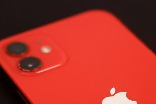 iPhone 12 bị dừng bán tại một số nước châu Âu do vi phạm tiêu chuẩn bức xạ