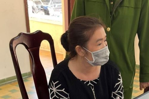 Công an Lâm Đồng thông tin vụ án lừa đảo chiếm đoạt tài sản thông qua phân lô, bán nền