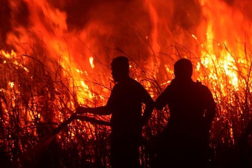 Indonesia: Cháy than bùn dữ dội trên đảo Sumatra suốt 2 tuần