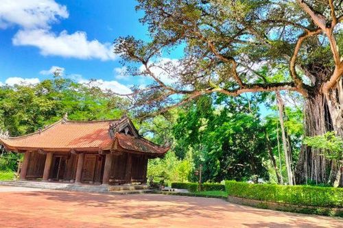 Về vùng đất thiêng Lam Kinh nghe 'chuyện tình' cây Đa - Thị hơn 300 năm tuổi
