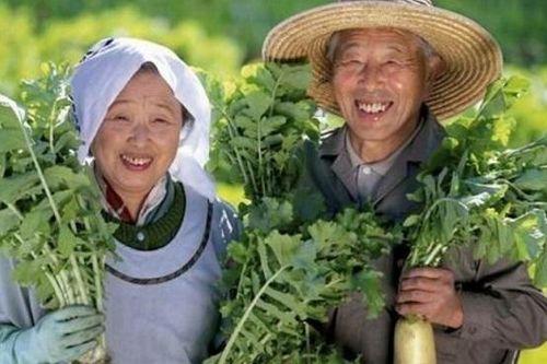 Vùng đất Blue Zones và 9 bí quyết sống trường thọ của người dân