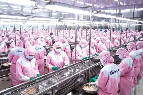 Thúc đẩy tăng trưởng tín dụng lúa gạo và thủy sản ở Đồng bằng sông Cửu Long