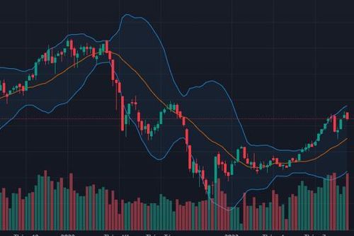 Giao dịch ETF đỡ điểm số, thanh khoản vẫn lao dốc mạnh