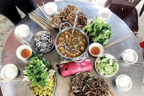 Nơi đầu nguồn con nước