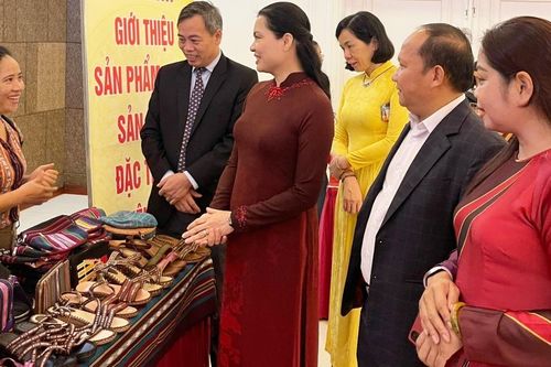 Phát huy vai trò đội ngũ cán bộ nữ