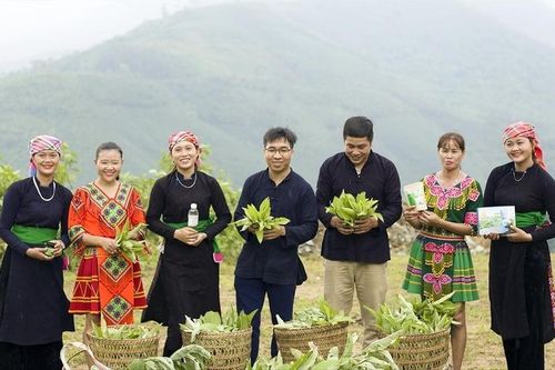 2 dự án phát triển của thanh niên dân tộc thiểu số Lào Cai lọt vào chung kết Cuộc thi 'Dự án khởi nghiệp thanh niên nông thôn'