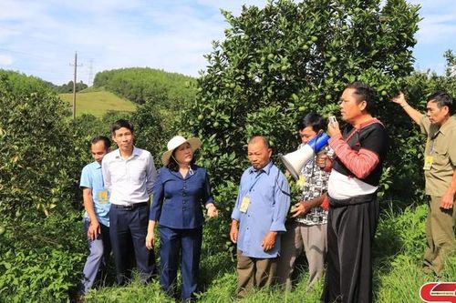Phong trào thi đua 'Dân vận khéo' ở Vân Hồ