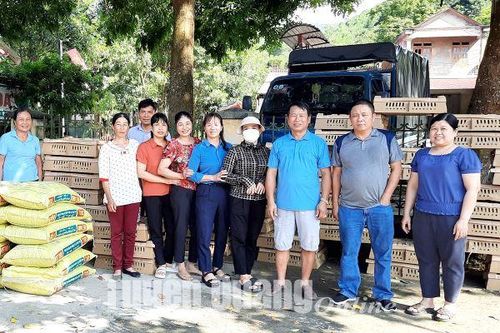 Triển khai mô hình liên kết nuôi gà an toàn sinh học