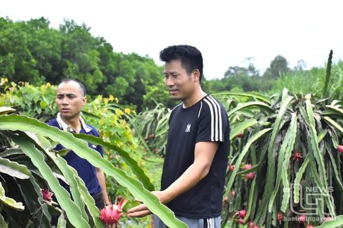 Những nông dân dám nghĩ, dám làm