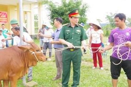 Hỗ trợ 193 con trâu, bò sinh sản cho bà con biên giới