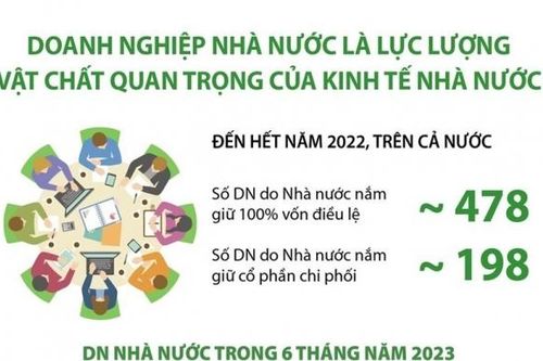 Doanh nghiệp nhà nước là lực lượng vật chất quan trọng của kinh tế nhà nước