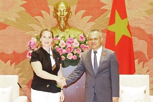 Phó Chủ nhiệm Ủy ban Đối ngoại Nguyễn Mạnh Tiến tiếp Đoàn nghị sỹ Quốc hội Georgia
