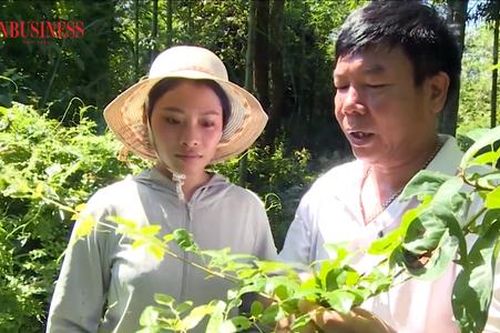 Những 'thuyền trưởng' HTX truyền cảm hứng làm giàu ở Lào Cai