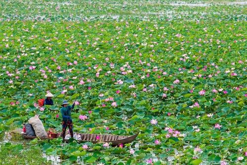 Du lịch nông thôn khó phát triển bền vững nếu không được quản lý tốt