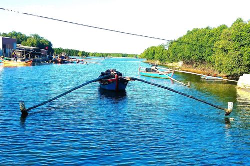 Bình Định: Tàu giã cào, xung điện ngang nhiên tận diệt thủy sản