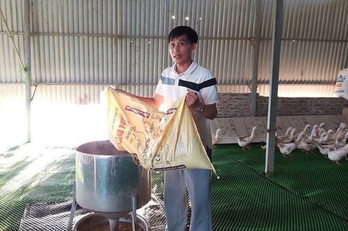 Sức bật ở Liên Châu