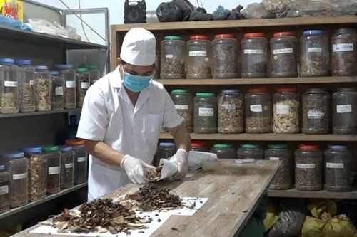 Phát huy tinh hoa Y học cổ truyền 'Thầy tại nhà, thuốc tại vườn'