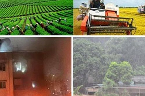 Chỉ đạo, điều hành của Chính phủ, Thủ tướng Chính phủ nổi bật tuần từ 11-15/9/2023