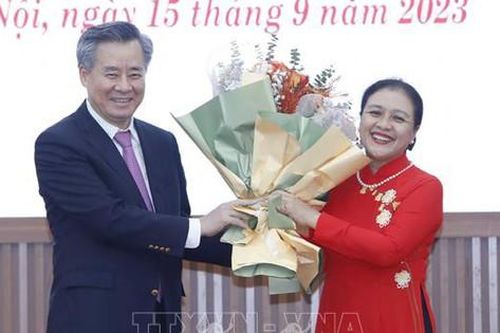 Triển khai quyết định của Ban Bí thư về công tác cán bộ