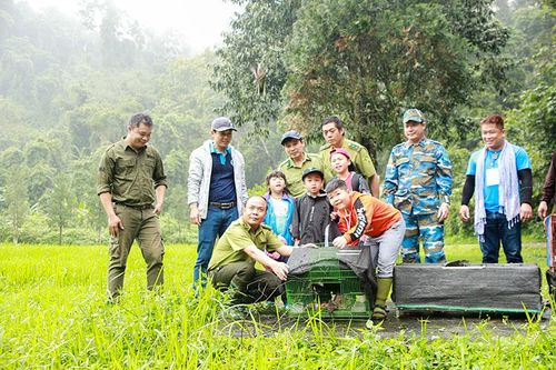 Hành động mạnh mẽ để bảo vệ động vật hoang dã