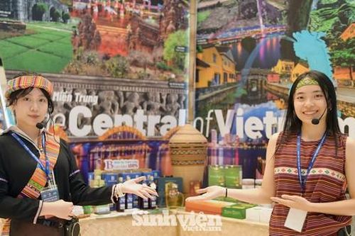 Những 'bóng hồng' tình nguyện viên