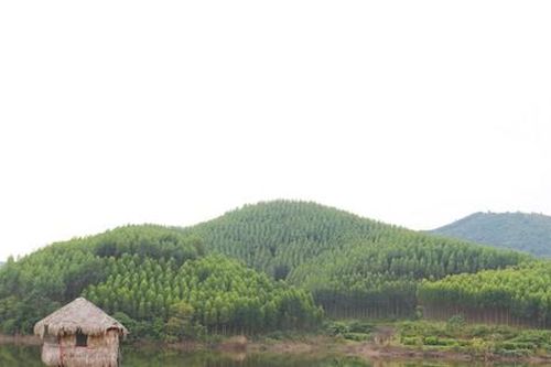 Siêu dự án công viên nghĩa trang Bắc Giang chỉ có một nhà đầu tư nộp hồ sơ