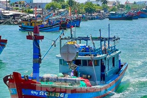 Giá dầu tăng liên tiếp, tàu cá nguy cơ phải nằm bờ