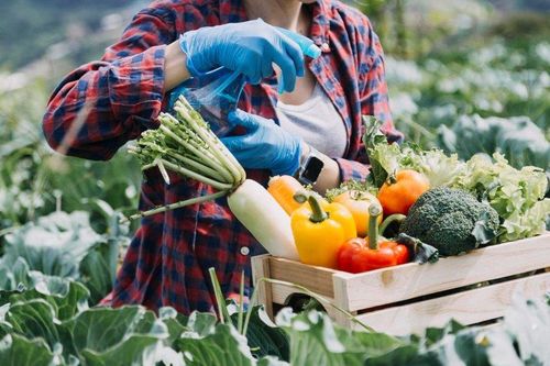 Đưa nông sản, thực phẩm chế biến của Việt Nam vào hệ thống phân phối nước ngoài