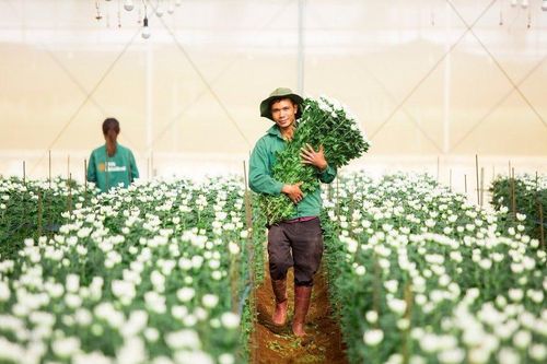 Báo lãi đi lùi, nợ phải trả của PAN Farm vượt mốc 2.600 tỷ đồng