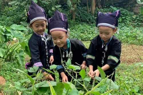 Trẻ em dân tộc thiểu số đối diện tình trạng mất tiếng mẹ đẻ