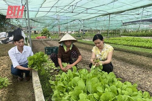 Phát huy vai trò của hội viên nông dân trong xây dựng nông thôn mới