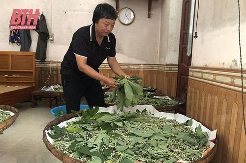 Nghề phụ đem lại thu nhập chính