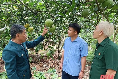 Những CCB tận tâm cống hiến trong thời bình