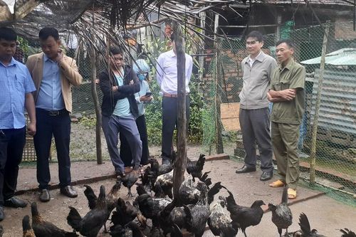 Nghiệm thu dự án chăn nuôi gà H'Mông thương phẩm tại xã Hbông