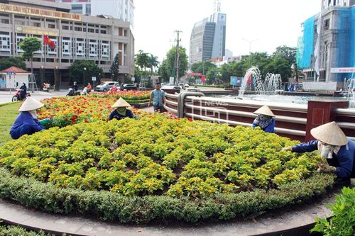 Bảo vệ 'lá phổi xanh' cho đô thị
