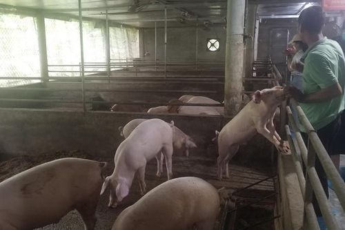 Xây dựng lòng tin về chuỗi giá trị nông nghiệp hữu cơ