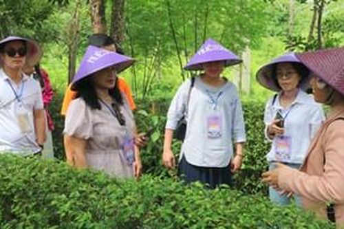 Kết nối, khảo sát, tìm sản phẩm thúc đẩy du lịch Cố đô