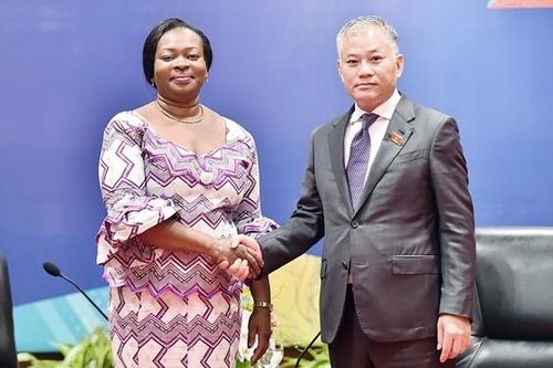 Phó Chủ nhiệm Ủy ban Đối ngoại Đôn Tuấn Phong chào Chủ tịch Quốc hội Malawi