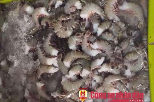 Phát hiện cơ sở thu mua tôm chứa tạp chất