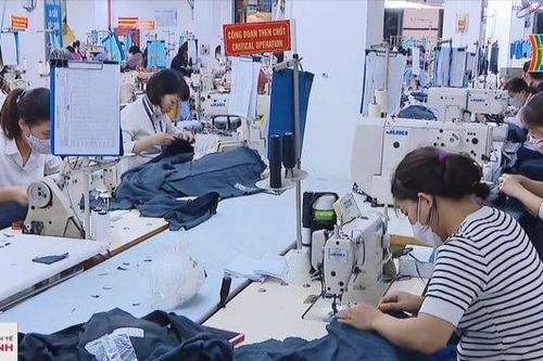 Xuất khẩu dệt may Việt Nam dần phục hồi
