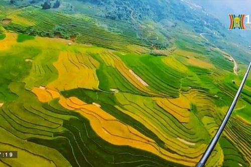 Những cung đường tuyệt đẹp mùa lúa vàng