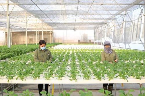 Kiểm soát an toàn từ sản xuất đến tiêu thụ sản phẩm