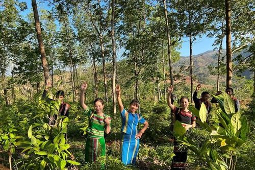 Trà hoa vàng Gia Lai giúp hỗ trợ sống khỏe và hạnh phúc