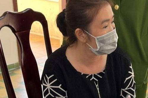 Lâm Đồng: Người phụ nữ thuê đất rồi... rao bán, chiếm đoạt tiền tỷ