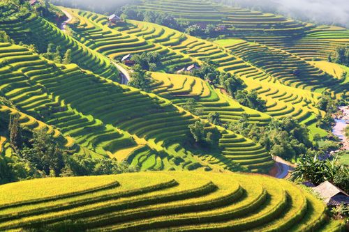 Đặc sắc tuần văn hóa du lịch 'Qua những miền di sản ruộng bậc thang' Hoàng Su Phì