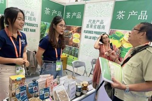 6 doanh nghiệp Gia Lai tham gia Hội chợ Trung Quốc-ASEAN lần thứ 20
